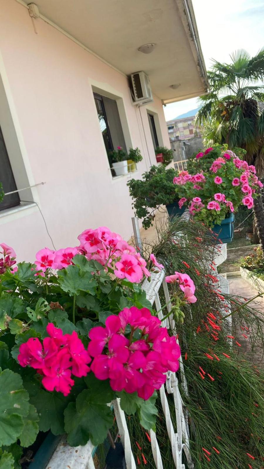 Blissful Hostel Σκόδρα Εξωτερικό φωτογραφία
