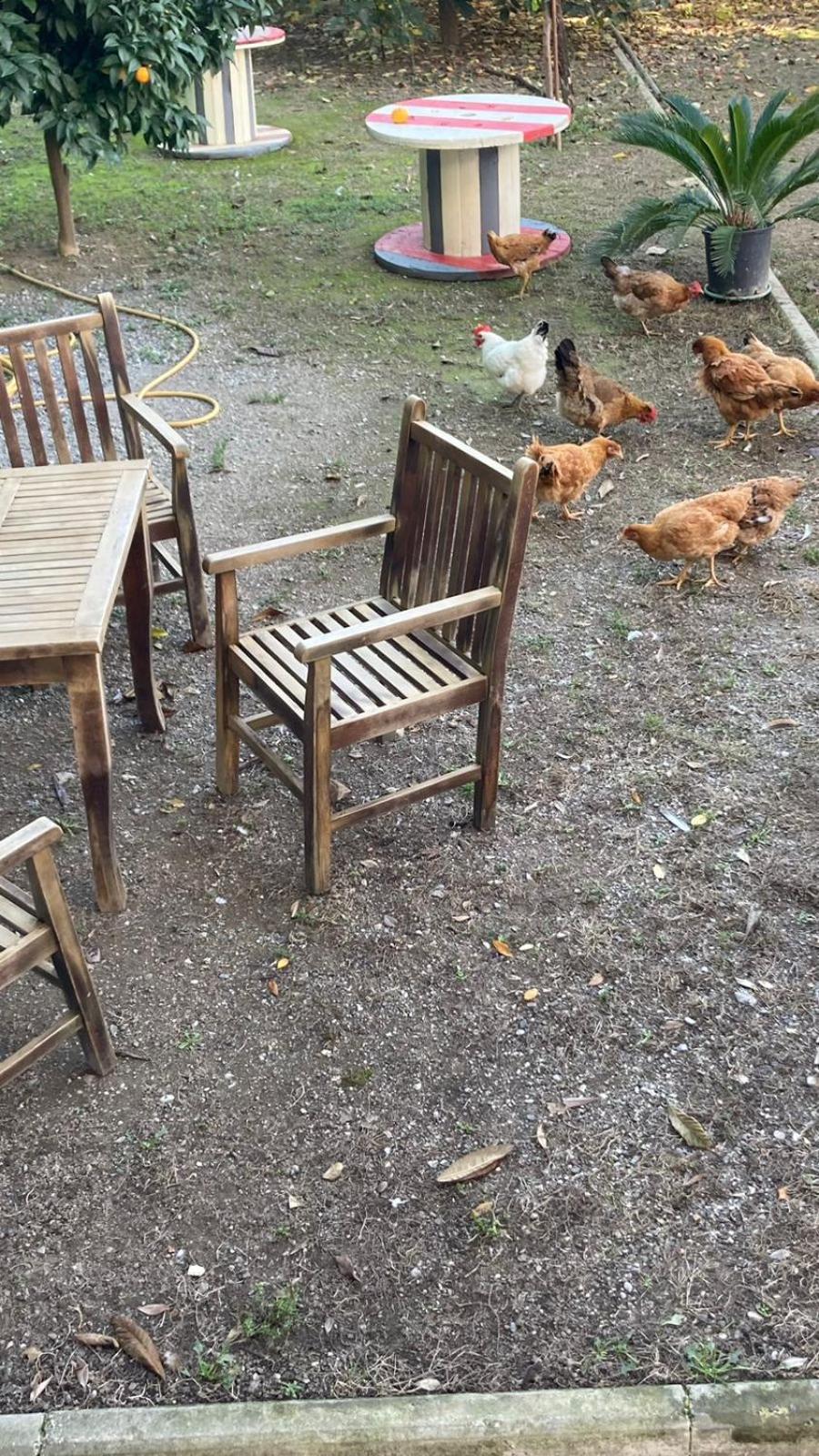 Blissful Hostel Σκόδρα Εξωτερικό φωτογραφία